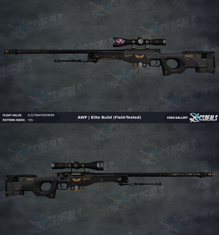 AWP Elite Build Field-Tested.jpg